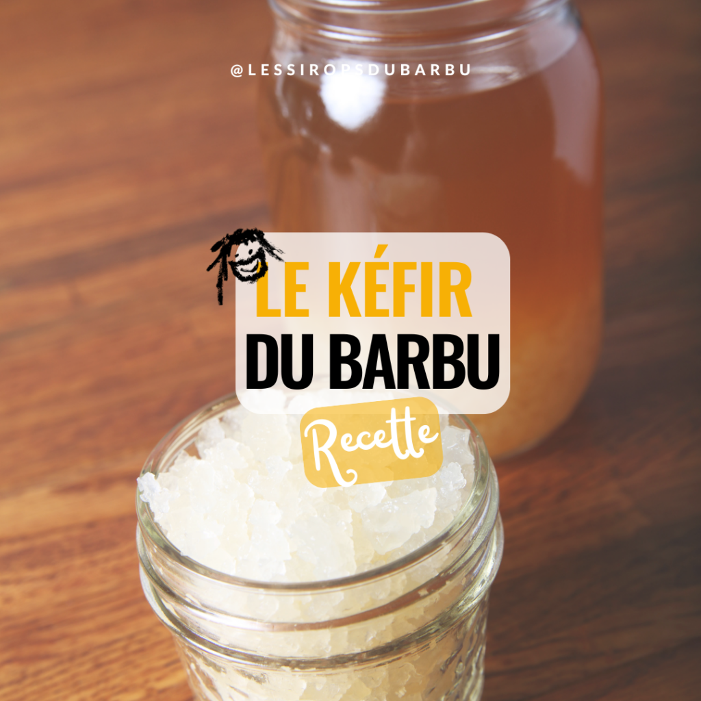 Recette - Le kéfir du Barbu